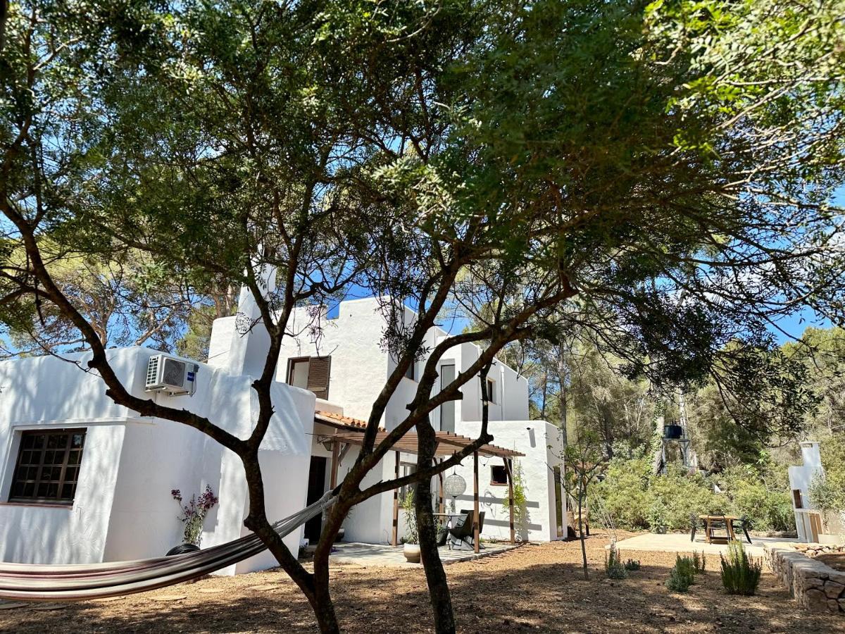 Spacious & Luxury Villa In Ibiza - Santa Gertrudis - Villa Chiquita Exterior photo